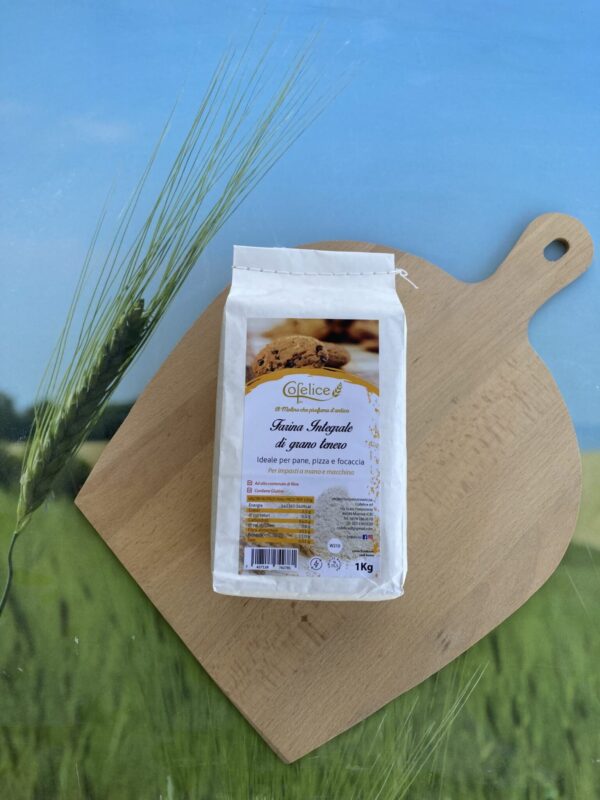 Farina integrale di grano tenero